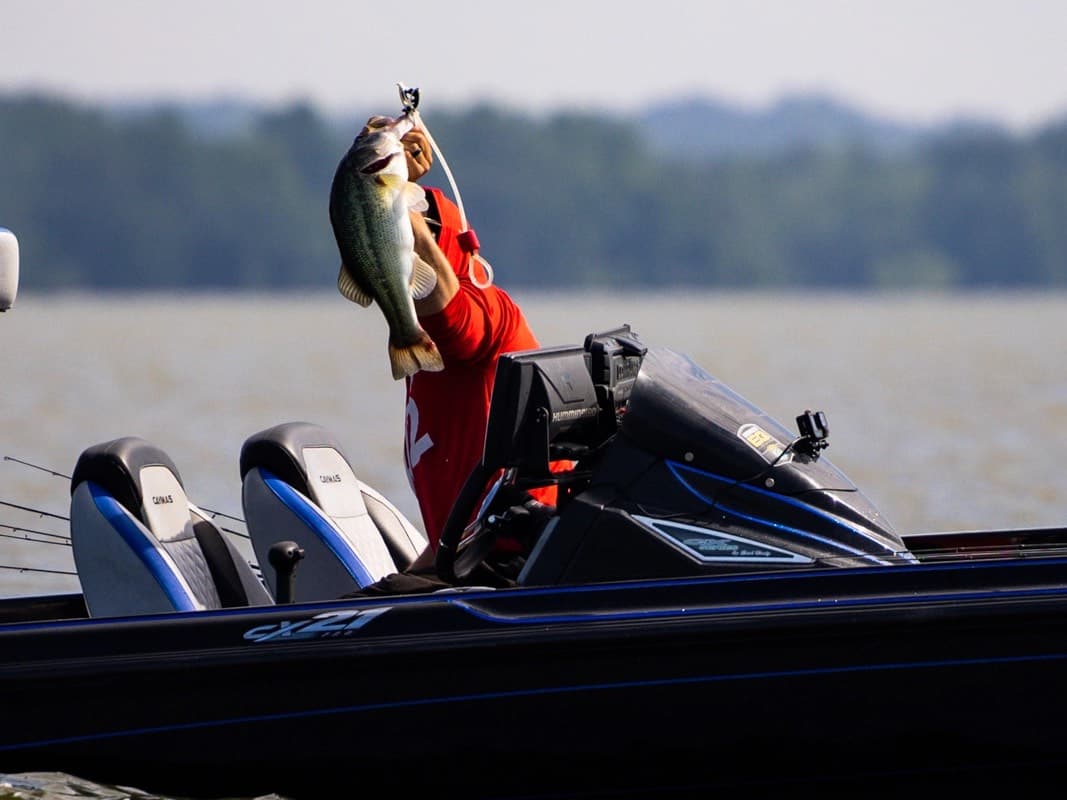 Fishing tips and ideas for Wheeler Lake in AL Wheeler Lake Shad Spawn