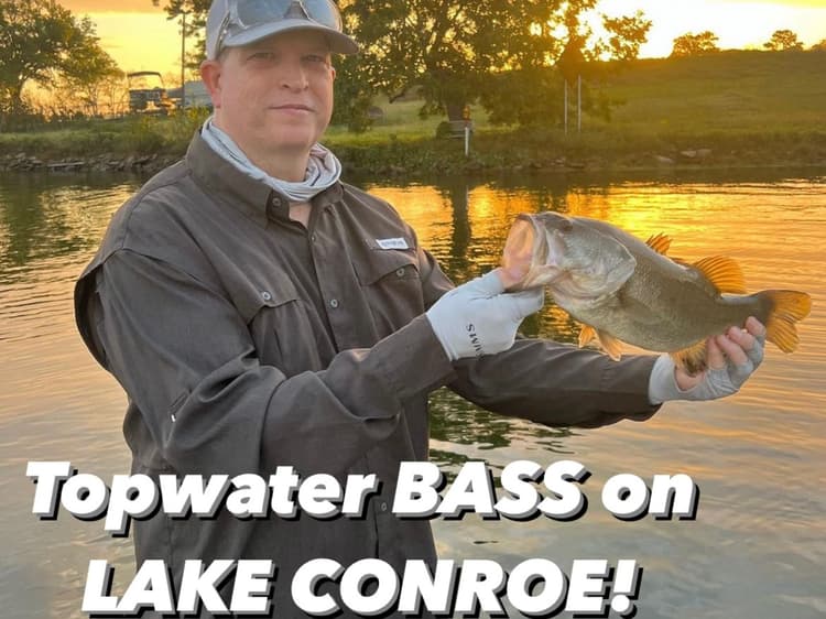 BIG Bass On Topwater at Lake Conroe, TX!! (5 Spots Included)