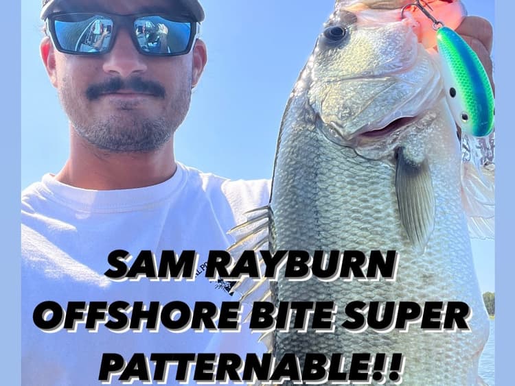 Sam Rayburn OFFSHORE SCHOOLS Fall and Winter Pattern (Spot included, easy to replicate)