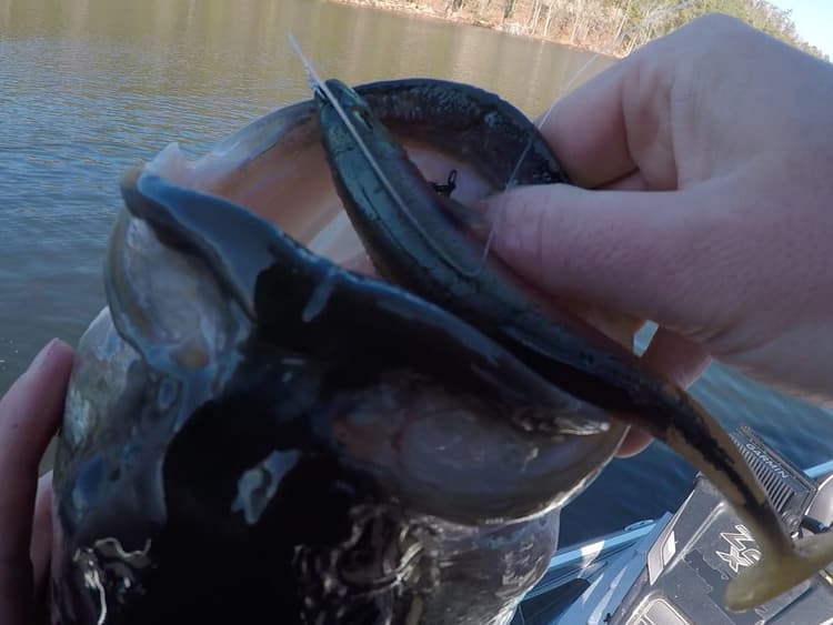JUICE Swimbait Holes on LAKE CHICKAMAUGA